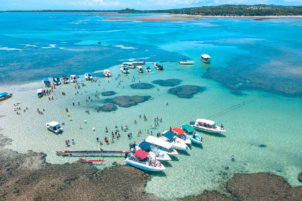 Praia do Forte: Guia Completo 2026 — O Que Fazer, Onde Ficar e Quanto Custa em Cachoeira